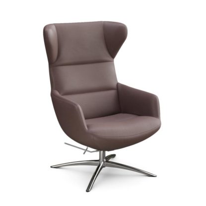 Fauteuil Shine